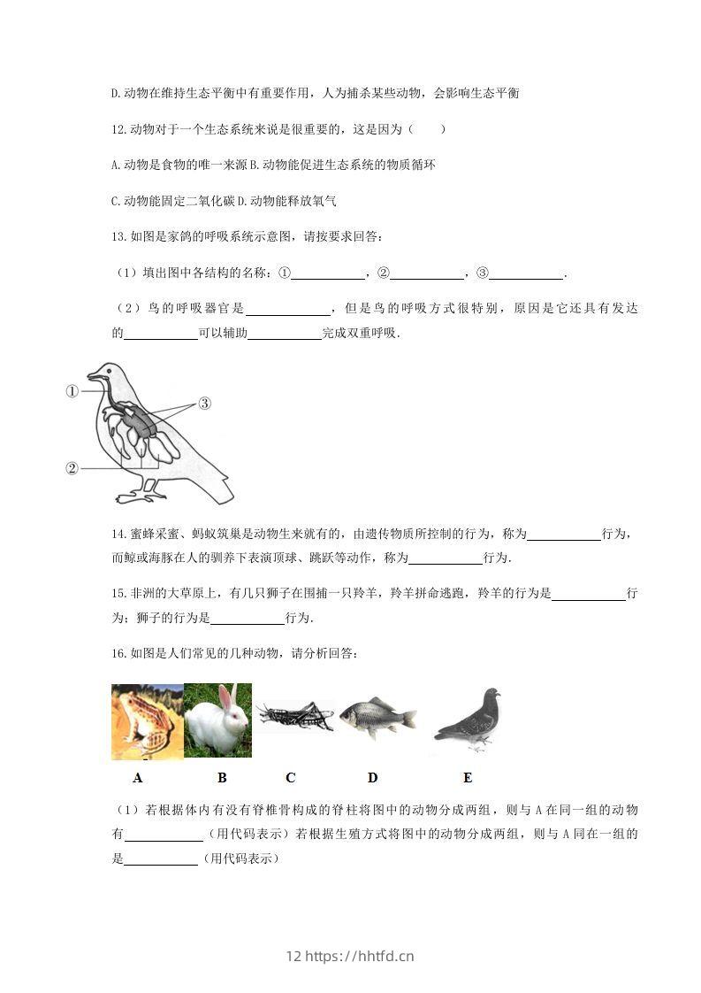 图片[3]-2020-2021学年湖北省黄冈市红安县八年级上学期期中生物试题及答案(Word版)-领航学科网