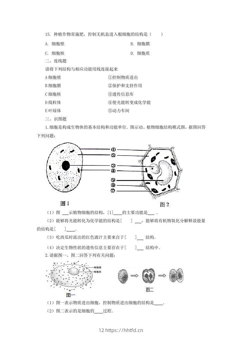 图片[3]-七年级上册生物第二单元第一章第四节试卷及答案(Word版)-领航学科网